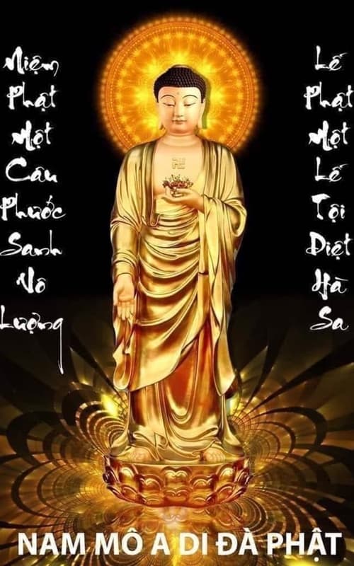 Hào quang nhiệp hộ người niệm Phật