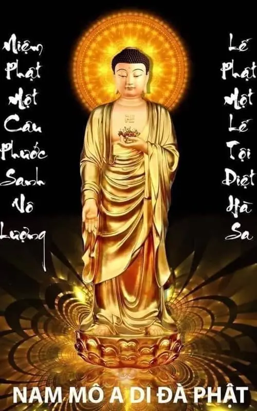 Hào quang nhiệp hộ người niệm Phật