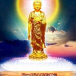 Oan gia trái chủ là gì