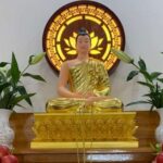 Dâng hoa cúng dường Phật có ý nghĩa gì