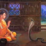 Kỳ lạ chuyện rắn nghe kinh Phật