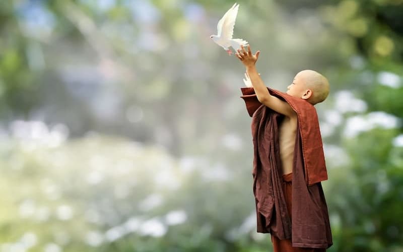 Những hiểu lầm về Tu Hành trong đạo Phật