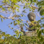 Niệm Phật là pháp Siêu Độ - Pháp sư Huệ Tịnh giảng.