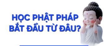 Học Phật pháp bắt đầu từ đâu – Lộ trình & Kinh nghiệm tu tập cho người mới