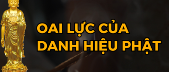 Oai Thần Của Danh Hiệu Nam Mô A Di Đà Phật Không Kinh Chú Nào Sánh Được