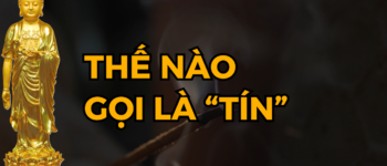 Thế Nào Gọi Là Tin Sâu
